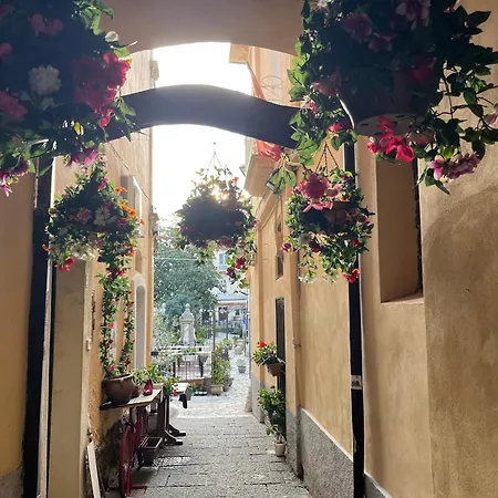 Διαμέρισμα Lamia